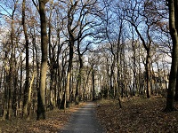 poetzleinsdorfer park winter klein